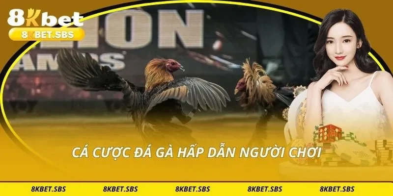 Cá cược đá gà hấp dẫn người chơi