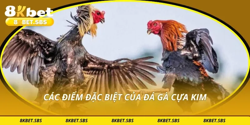 Các điểm đặc biệt của đá gà cựa kim