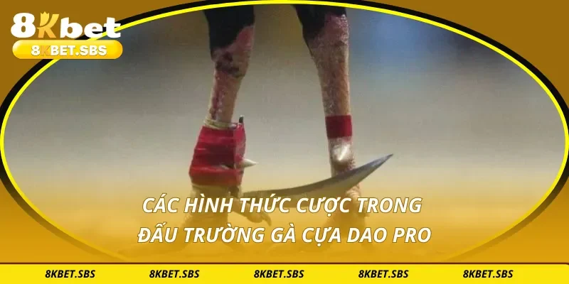 Các hình thức cược trong đấu trường gà cựa dao pro