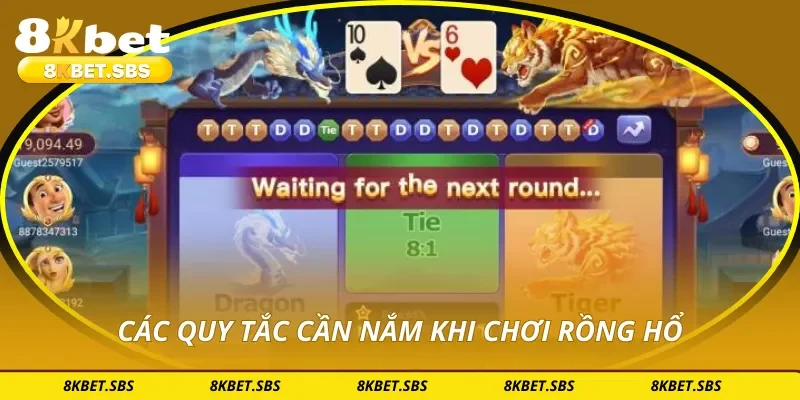 Các quy tắc cần nắm khi chơi rồng hổ