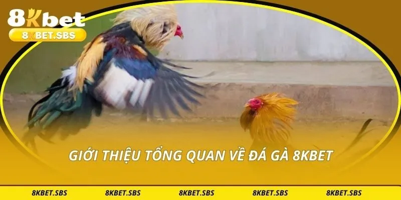 Giới thiệu tổng quan về đá gà 8KBET