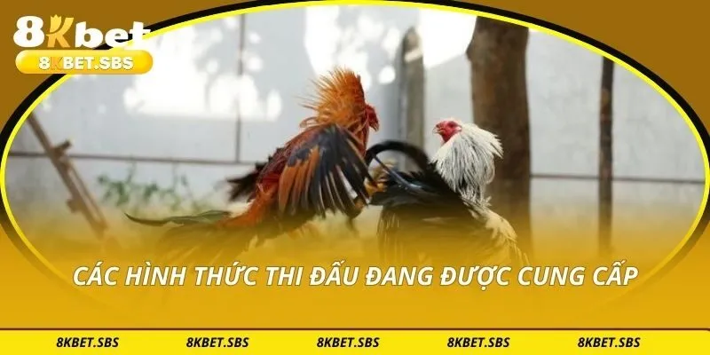 Các hình thức thi đấu đang được cung cấp