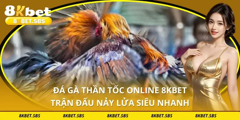 Đá Gà Thần Tốc Online 8KBET - Trận Đấu Nảy Lửa Siêu Nhanh