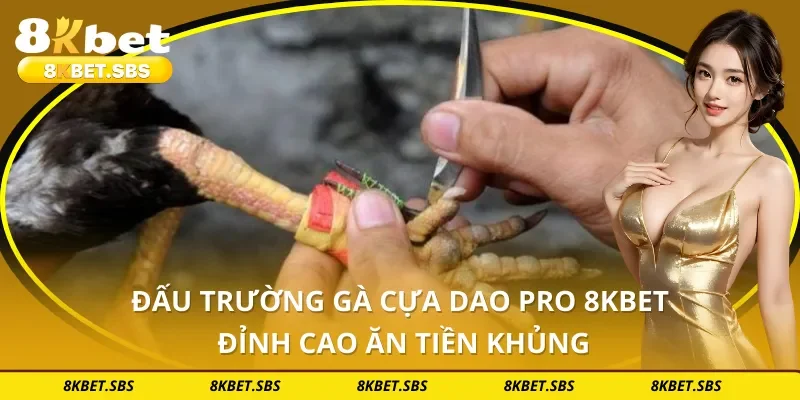 Đấu Trường Gà Cựa Dao Pro 8KBET - Đỉnh Cao Ăn Tiền Khủng