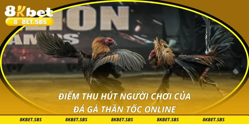 Điểm thu hút người chơi của đá gà thần tốc online