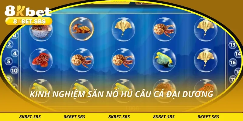 Kinh nghiệm săn nổ hũ câu cá đại dương