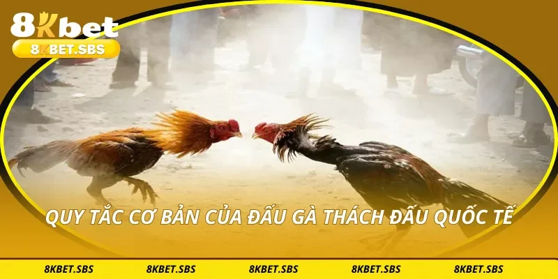 Quy tắc cơ bản của đấu gà thách đấu quốc tế
