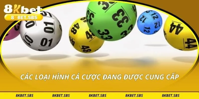 Các loại hình cá cược đang được cung cấp